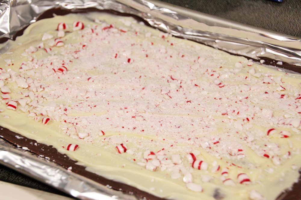 Peppermint-Bark-014